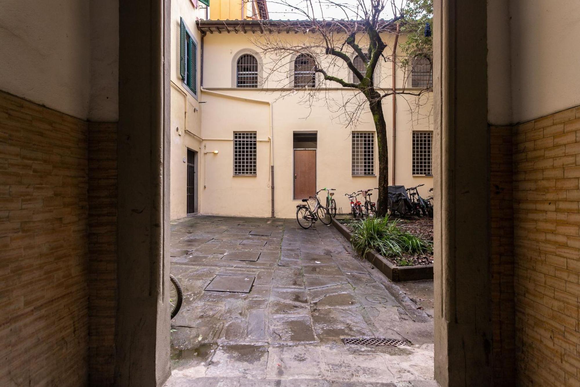 Antonino By Halldis Florencia